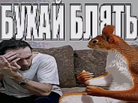 1777906181336.png